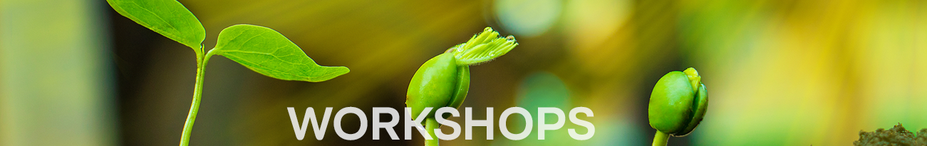 Workshops